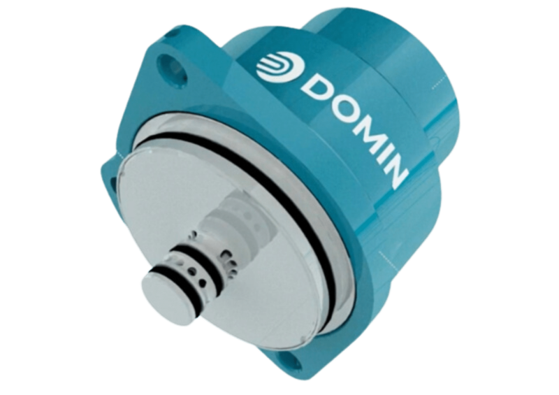 Domin_1